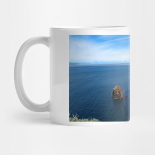 Channel Islands National Park Santa Cruz Mug